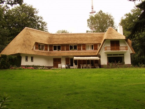 Skąd pochodzi trzcina na dachy i jak się ją pozyskuje?