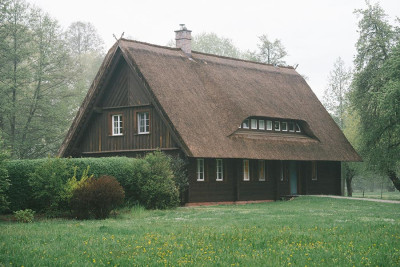 Dach z trzciny – jak wygląda proces realizacji od projektu do montażu?