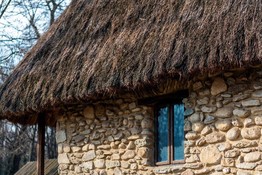 Dach z trzciny krok po kroku: Jak wygląda zbiór trzciny zimą