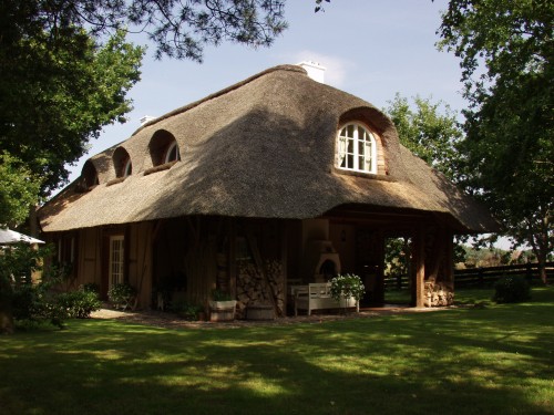 Naturalne materiały budowlane – dlaczego wracają do łask?