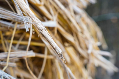 Czy dach z trzciny wymaga pozwolenia konserwatora zabytków?